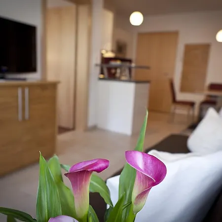 Apartment Alpina *